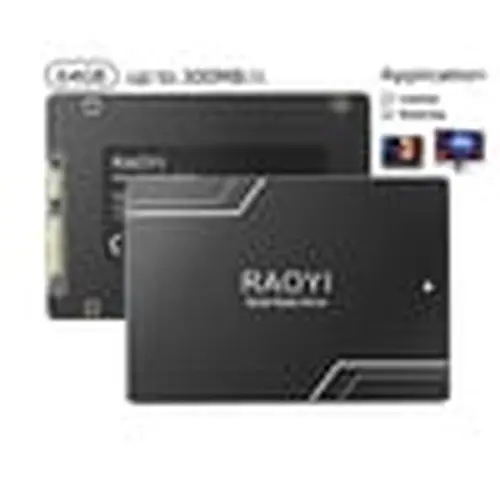 RAOYI 64GB SATA III SSD 2.5" Internal Hard Drives,Up to 300MB/s,with 3D NAND, for Laptop & Desktop PC Upgrade