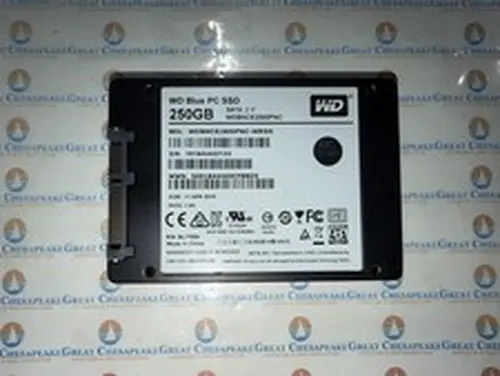 Western Digital WDBNCE2500PNC-WRSN 250GB 2.5" SATA SSD WD Blue !
